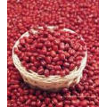 2015 Nouveau récolte de haricots rouges de haute qualité